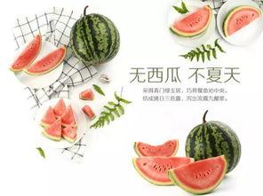 吃瓜是什么意思 吃瓜大赛,网络热词背后的趣味与现象